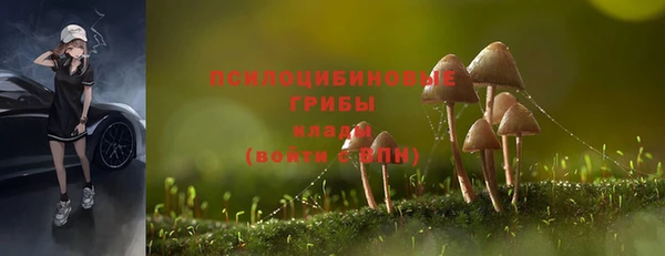 прущий лед Алексеевка