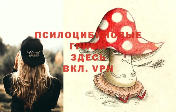 прущий лед Алексеевка