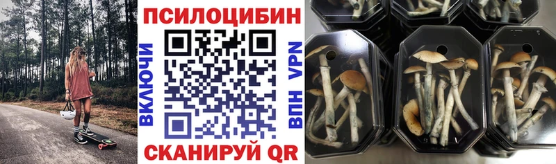 Галлюциногенные грибы мицелий Алупка