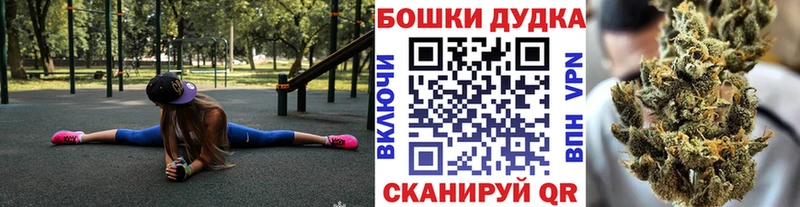 цена наркотик Алупка Шишки марихуана сатива